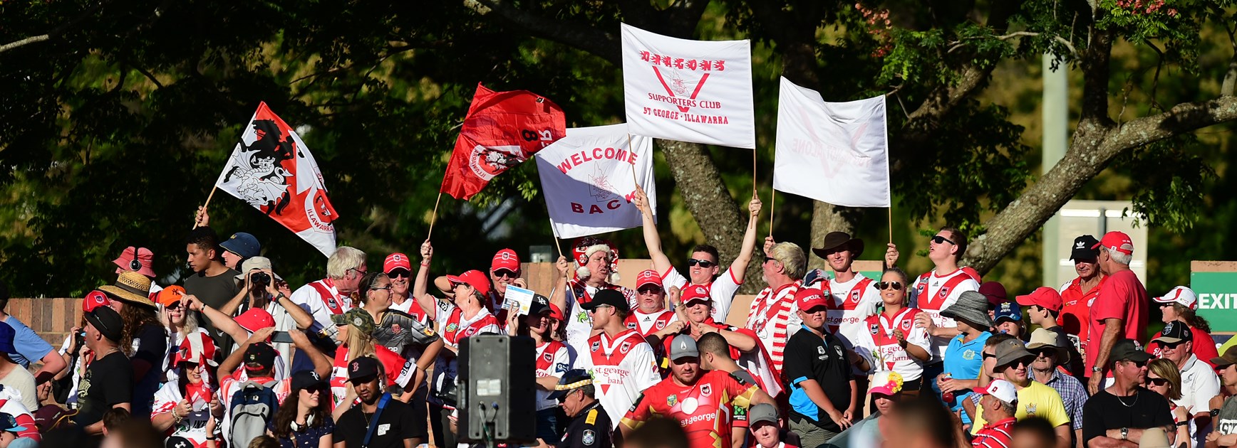 Game day guide: Round 23 v Roosters