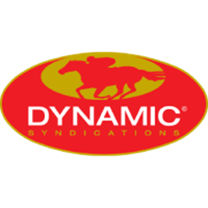 Dynamic Syndications
