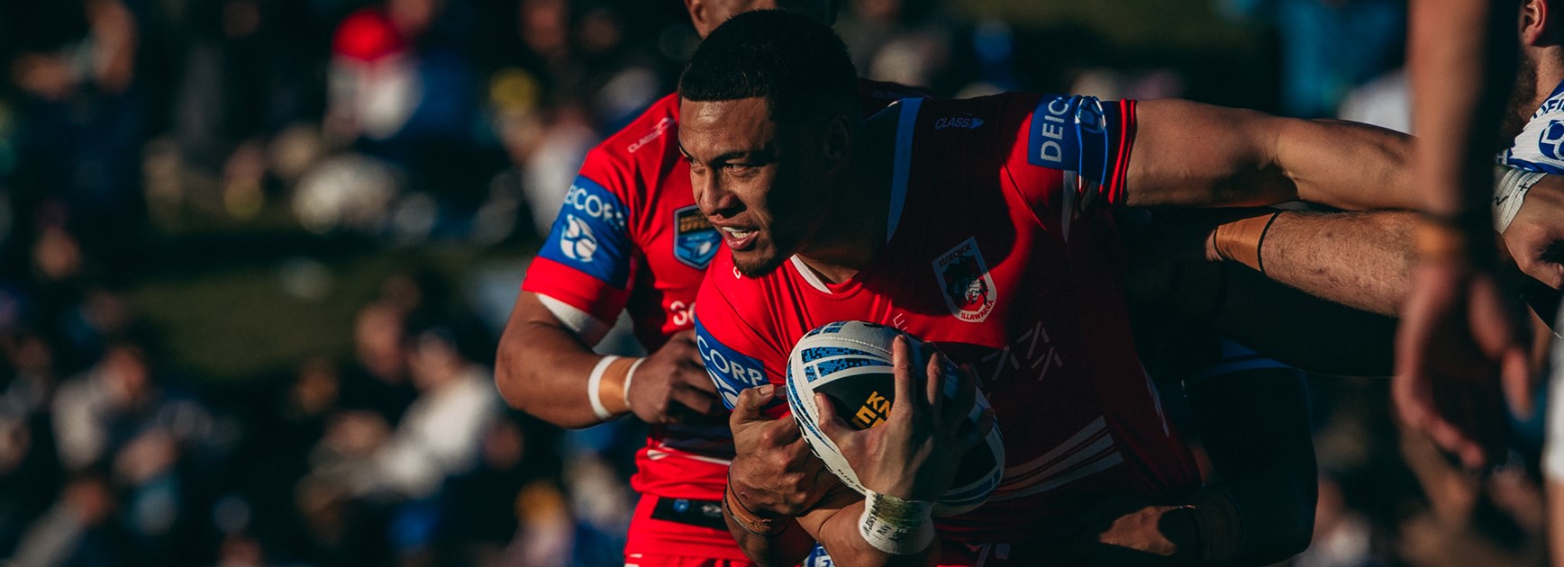 Knock-On Effect NSW Cup: Dragons defeated by Bulldogs in final regular season outing