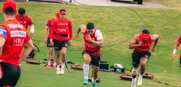 Dragons Injury Update: February