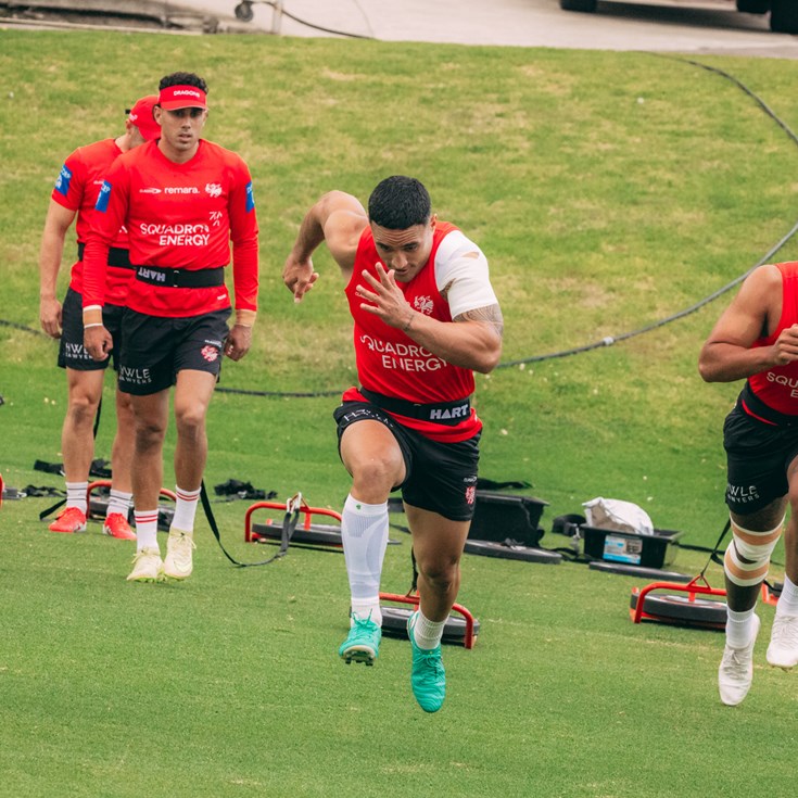 Dragons Injury Update: February