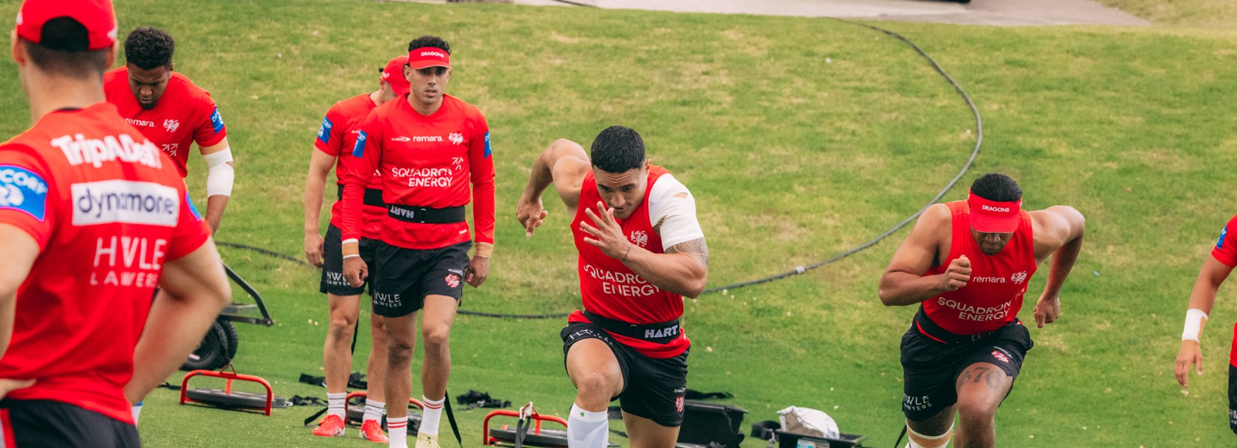 Dragons Injury Update: February