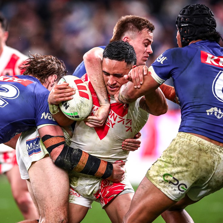 Dragons fall to Dogs at Allianz
